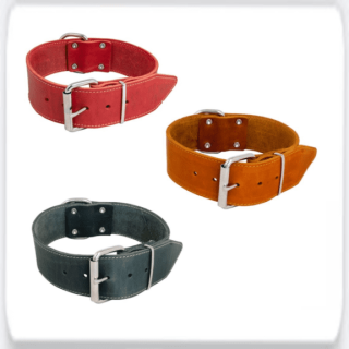 Women's Belts