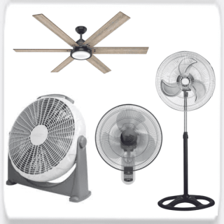 fans