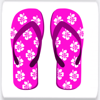 women's flip flops